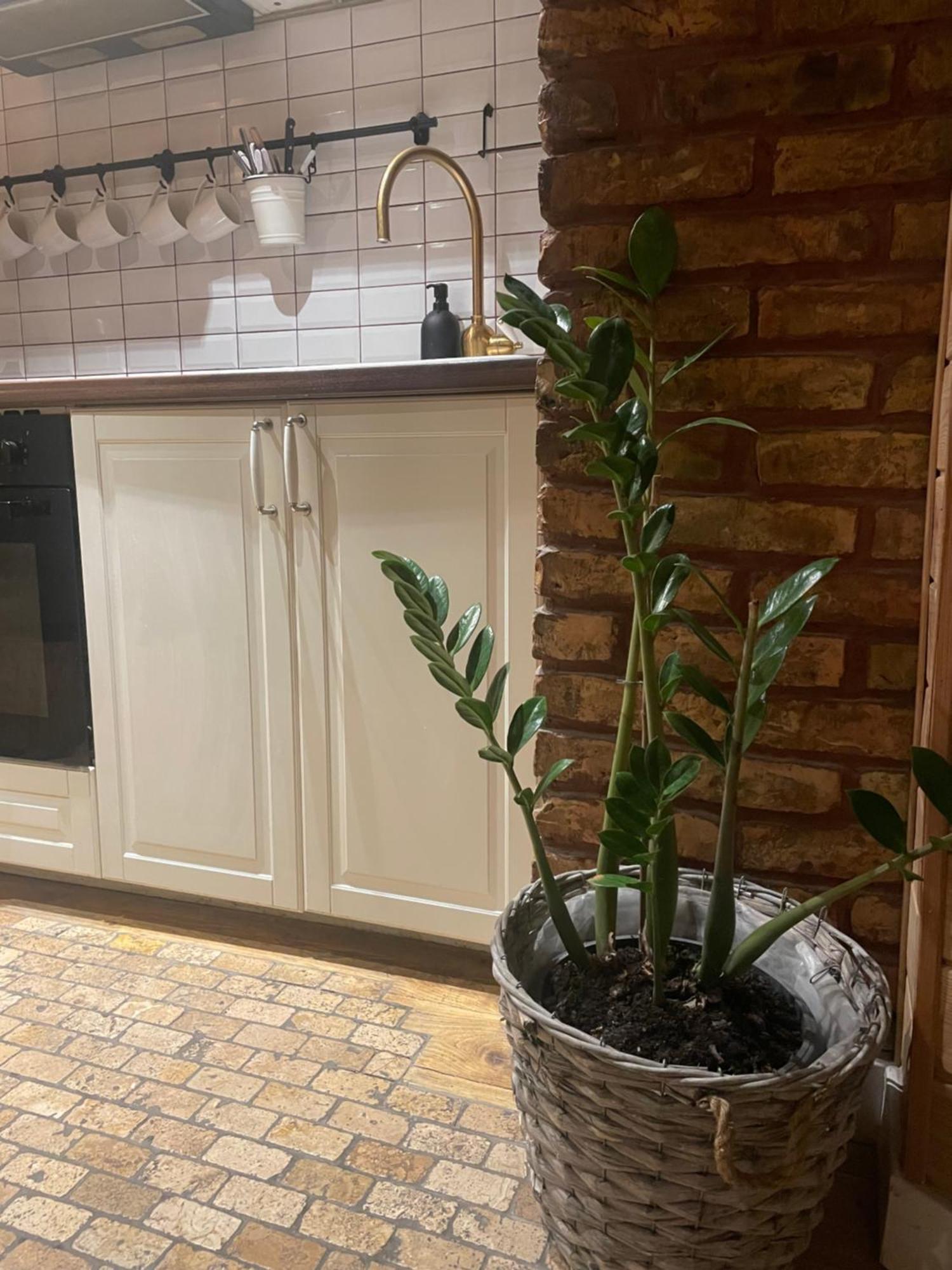 Stebuklas Coliving Wilna Exterior foto